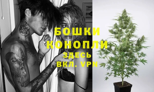 кокс Корсаков